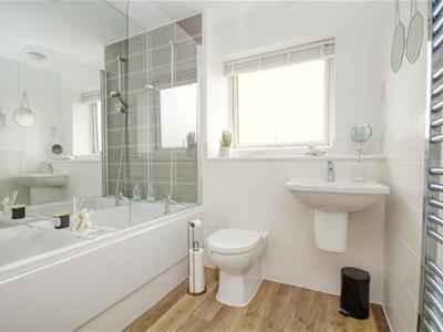 Picture 7